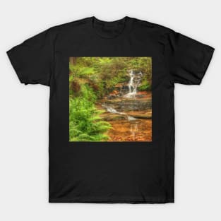 Mini Cascades at Leura T-Shirt